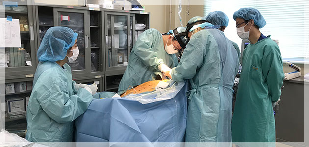 福岡大学医学部再生・移植医学公式サイトへようこそ