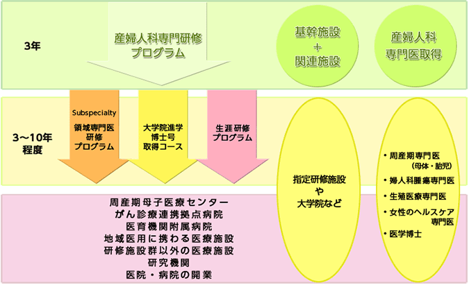 産婦人科専門研修プログラムと将来像