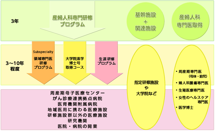 専門研修プログラムとその後の将来像