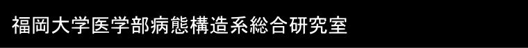 ヘッダーイメージ