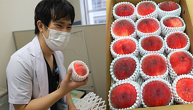 新田先生の 桃 が来ました!!